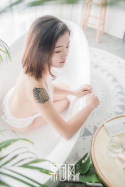 汪小菲